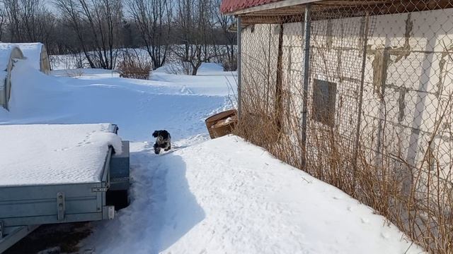 Эва на прогулке.