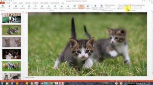 Как сделать слайд шоу в PowerPoint