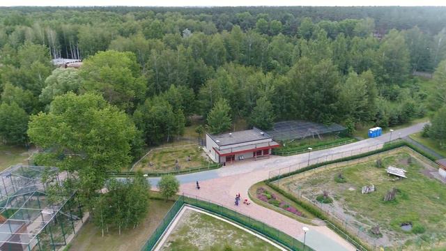 Зоопарк 07.06.2018 15:30 смотреть онлайн