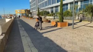 АДЛЕР ЗИМОЙ / ШОК ЖАРА / СИРИУС МАНДАРИН ЧАЙКА