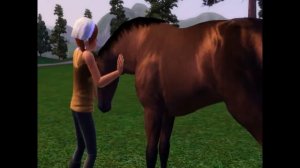 Дикие лошади/Wild horses (Взрослый жеребёнок); The Sims 3.