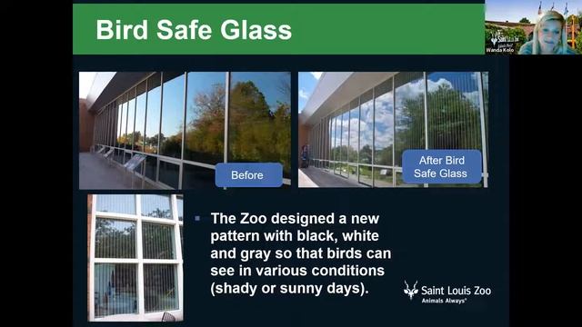 Community Climate Forum- Sustainability at the Zoo and What You Can Do смотреть онлайн