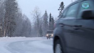 За подделку водительского удостоверения грозит срок