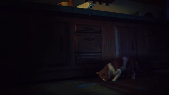 SCAREDY CAT - Official Trailer смотреть онлайн