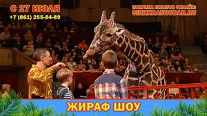 Жираф Шоу. Краснодарский цирк