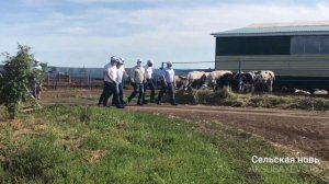 КФХ «Сулейманов И.Г.» в Аксубаевском районе посетил Марат Зяббаров