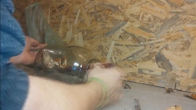 Мини Террариум или Сказочный Лес Своими Руками смотреть онлайн