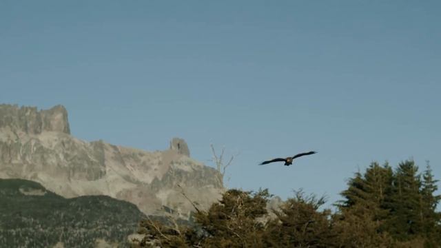 Молчи! [Дисс Фета на Некрасова] смотреть онлайн