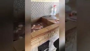 готовим шулюм из говядины и баранины