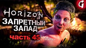 ЧОКНУТАЯ СТАРУХА ➤ Horizon Forbidden West ➤ Прохождение №45 ➤ PS5