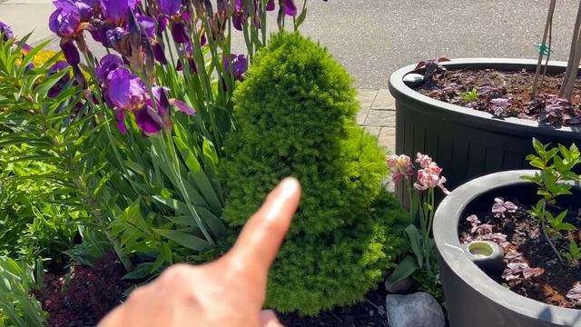 Unscripted End of May Garden Walkthrough - May 2023 смотреть онлайн