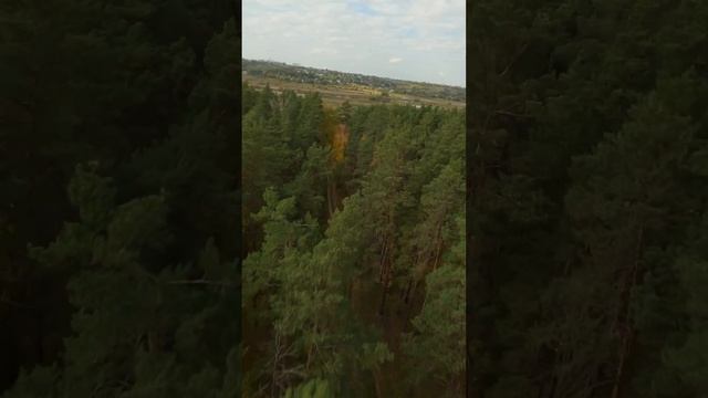 Осенний день смотреть онлайн