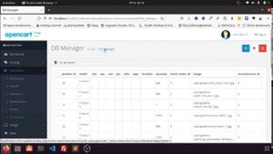 Database manager for Opencart