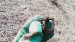 ИНТЕРЕСНЫЕ НАХОДКИ НА МЕСТЕ СТАРОЙ ДЕРЕВНИ!