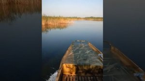 Болотоход 13 л.с лодка пнд 4м