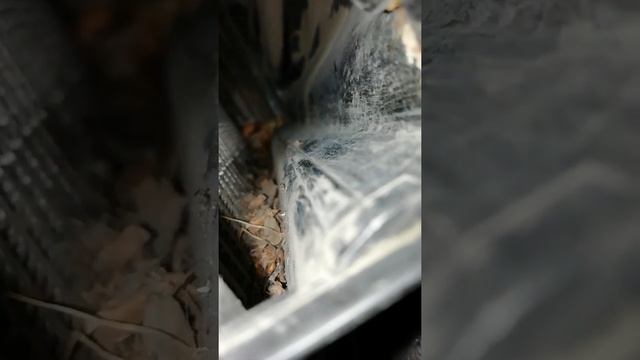 Замена салонного фильтра на Ниссан Жук смотреть онлайн