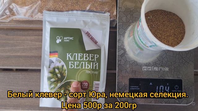Сажаем клевер поверх травы. Клевер вместо газонной травы. Сравниваем белый клевер сорт Юра и Лифлек смотреть онлайн