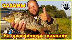 Рыбалка на сазана. Попали на бешеный клёв.