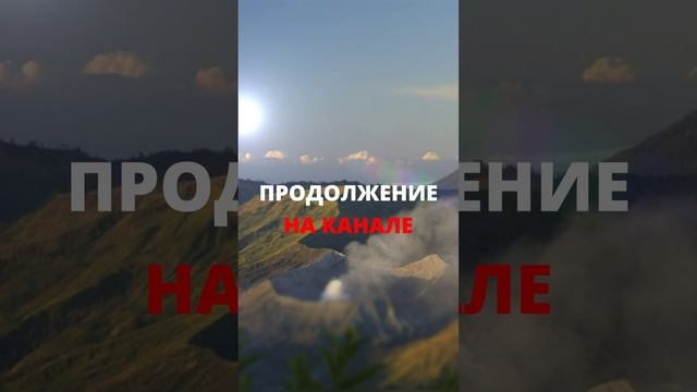 Продал их квартиру тайком, чтобы достроить дом у родителей #shorts смотреть онлайн