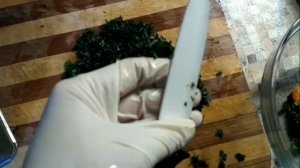 112. КРАПИВА. Рецепт салата с топинамбуром. Свойства крапивы.