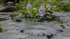 Жена изменяет МУЖУ пока тот в КОМАНДИРОВКАХ | ЗАБЕРЕМЕНЕЛА от любовника и просит ВЕРНУТЬСЯ назад