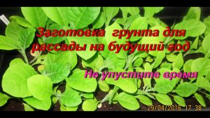 ДНЕВНИК ТАБАКОВОДА № 7 ( 29.04.16 заготовка грунта для рассады ) ТАБАК