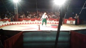 Цирк со львами и клоунами Circus with lions and clowns.Գոշա կրկես