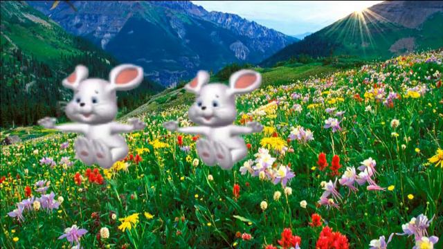 Футаж Лето для детей смотреть онлайн