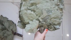 Веник из кавказского дуба