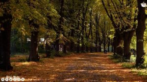 Три месяца я слушала только эту музыку! Невероятно красивая осенняя мелодия! Самая красивая мелодия