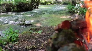 Копченый бекон с Совой мистером Рамзи