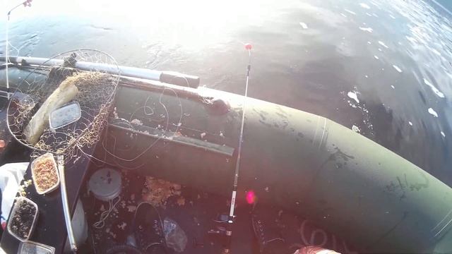 Лещ на кольцо 22.07.2017 на п-ве копылово смотреть онлайн