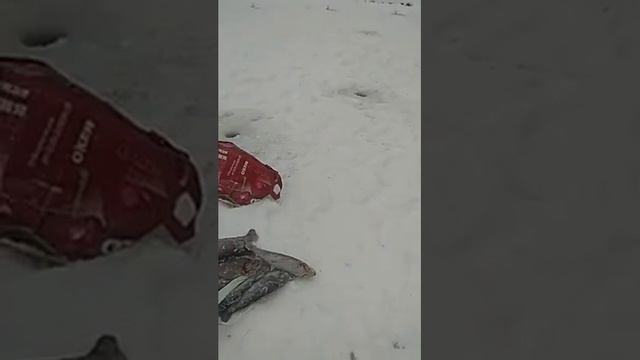 Платник в Минино смотреть онлайн