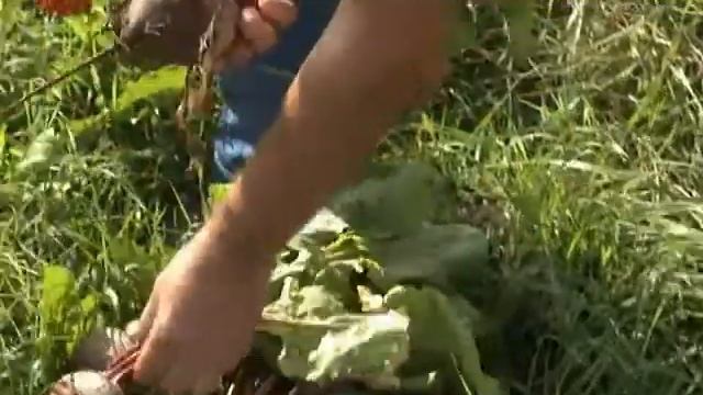 Простые дроби 23.09.2014 смотреть онлайн