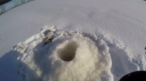 Ловим окуня ночью на мормышку. Рыбалка с ночёвкой, щука на жерлицы окунь сорога на мормышку.
