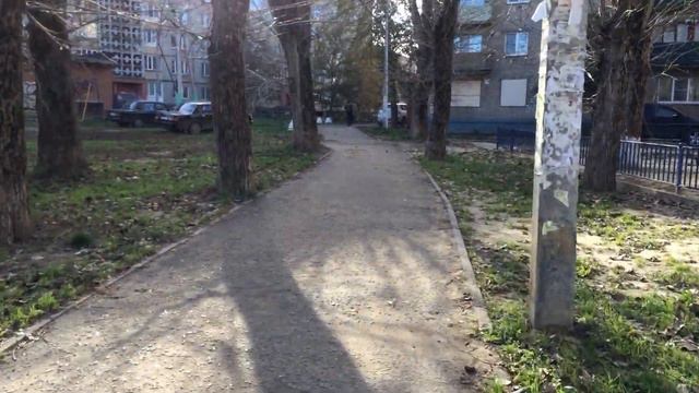 КОЛОКОЛА ТВ Видео прохождение до школы звонарей г.Воскресенск Моск.обл.