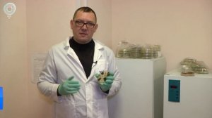 Новый подход к сельскому хозяйству. Почему учёные уверены - землю не нужно пахать?