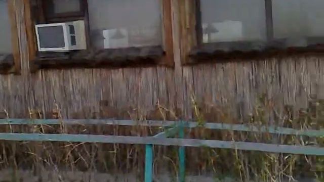 на страусиной ферме "у бабы фроси."17.04.12. смотреть онлайн