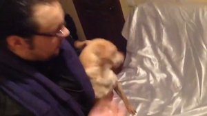 Шокирующие кадры! Изгнание беса из собаки