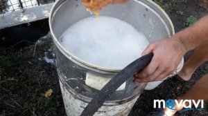 Как промыть или очистить семена тыквы, самодельная промывка для семичок