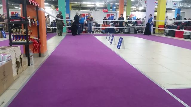 8 ноября 2020 г.МОНО Кобель- кл.чемпионов 4 смотреть онлайн