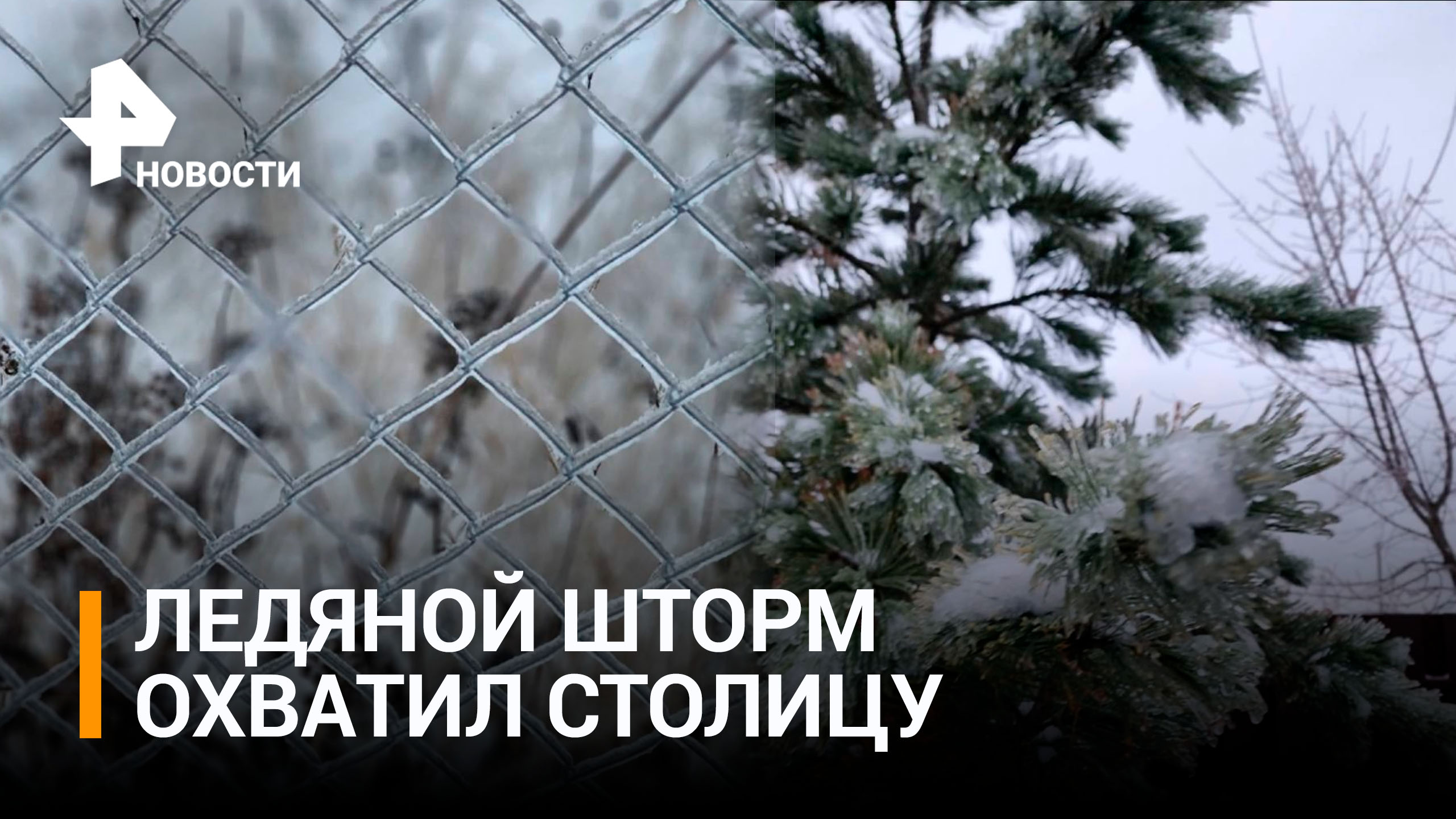 Ледяной дождь обрушился на Москву и спровоцировал гололед: объявлено штормовое предупреждение / РЕН
