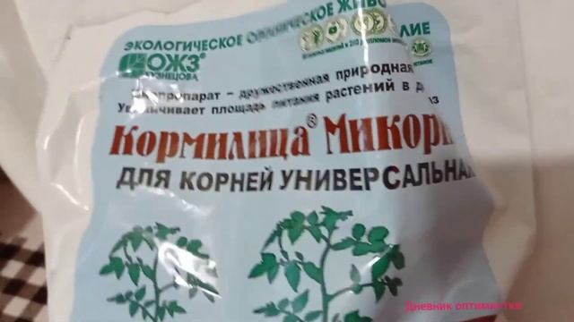 ФИКУС, КАК РАЗМНОЖИТЬ ФИКУС? #дневникоптимистки #людмилакирпиченковацветы #фикусы #черенки