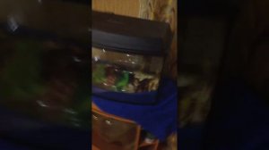 Аквариум,с чего начинать(тумба под аквариум).