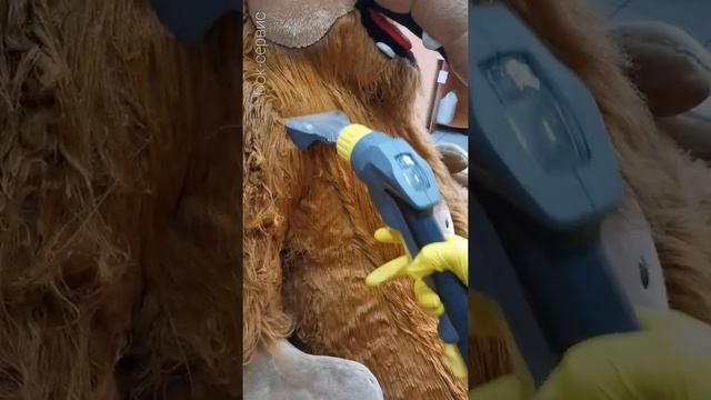 Химчистка мягкой крупногабаритной игрушки