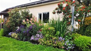 ?Ландшафтный дизайн Красивые примеры благоустройства / Beautiful landscape design ideas / A - Video