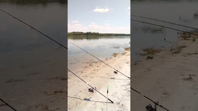 Рыбалка на Дону. Калач на Дону. в районе Голубинская