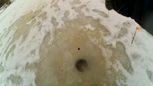 ЖЕРЛИЦЫ! Щучий день! Лучший ЛЕСОЧНЫЙ поводок на щуку!