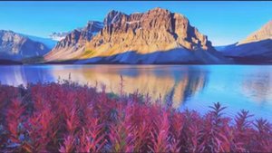 Абдурахман Сувайд