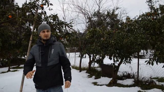 Участок c домом в Чакви | НЕДВИЖИМОСТЬ В ГРУЗИИ | BATUMI CITY | MOVING TO GEORGIA |ПЕРЕЕЗД ИЗ РОССИ смотреть онлайн